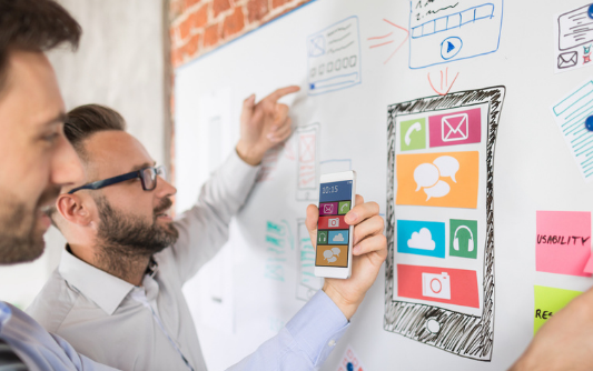 Software Development