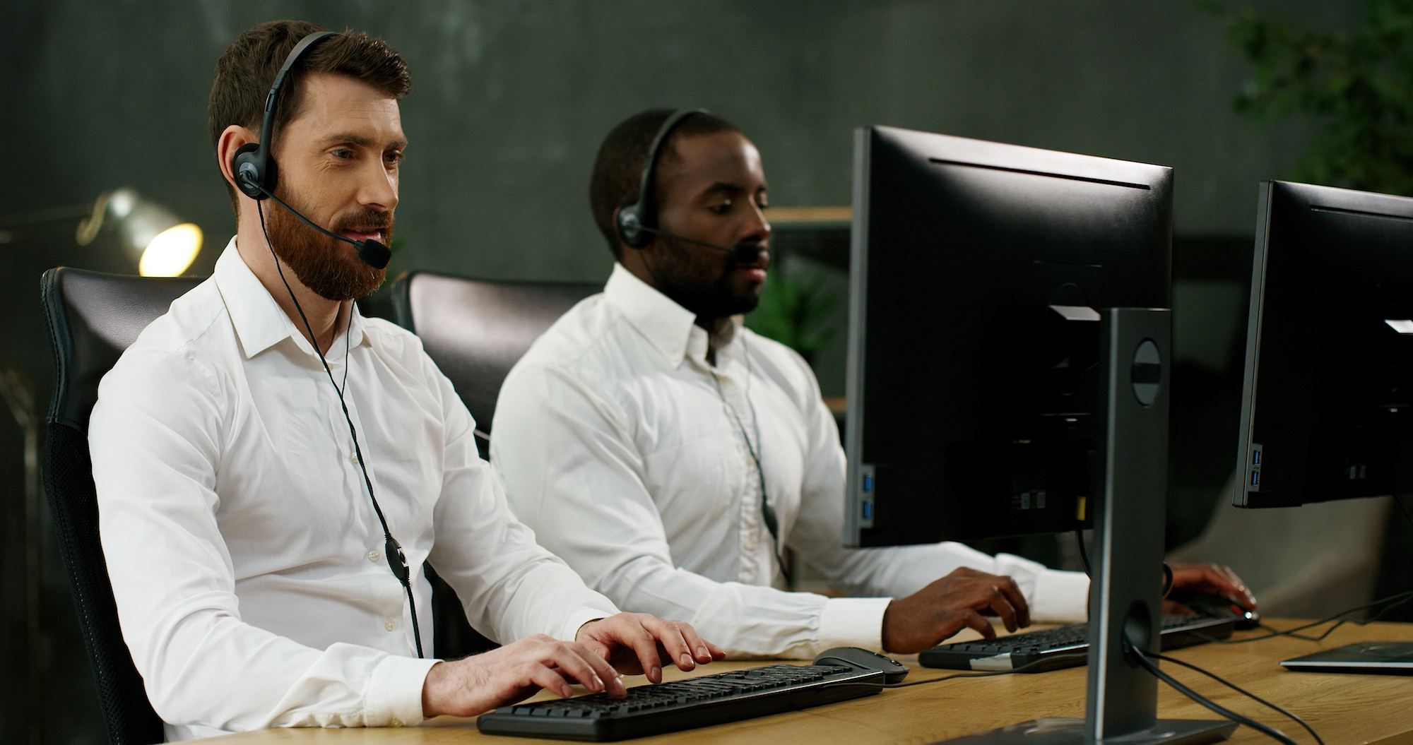Product & Technical Support Services from Solugenix